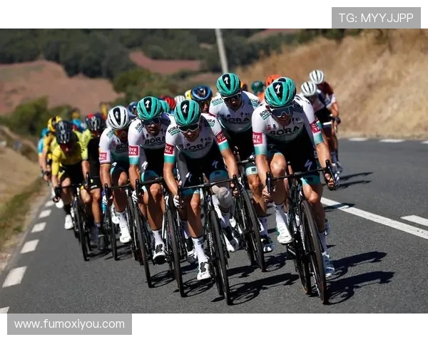 尼斯环法自行车赛（环法自行车赛道）sports